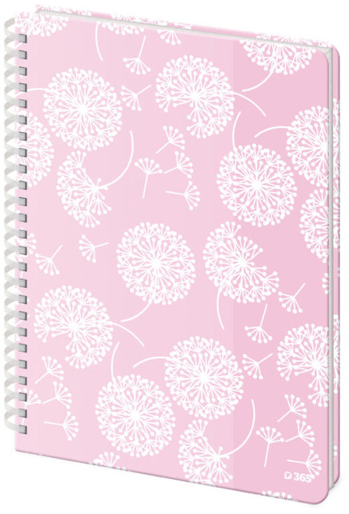 College blok A4 – Bliss